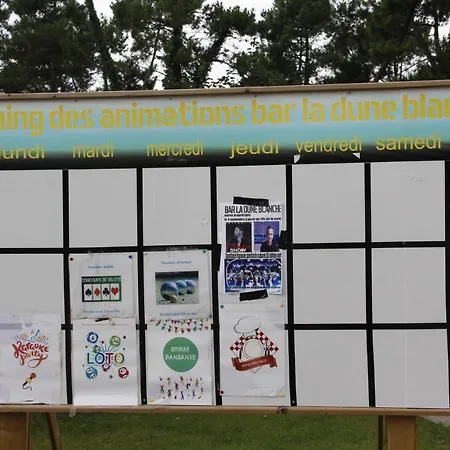 Entre Sable Et Feuillus كاميير