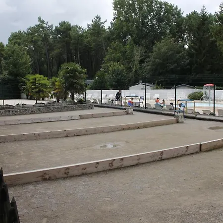 Entre Sable Et Feuillus