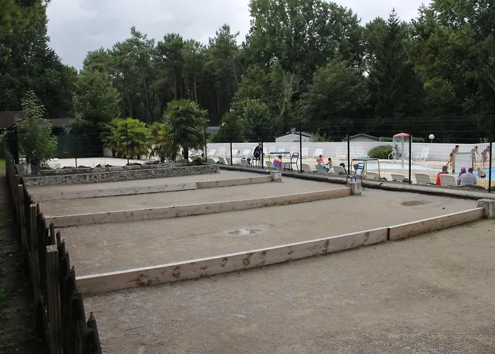 Entre Sable Et Feuillus