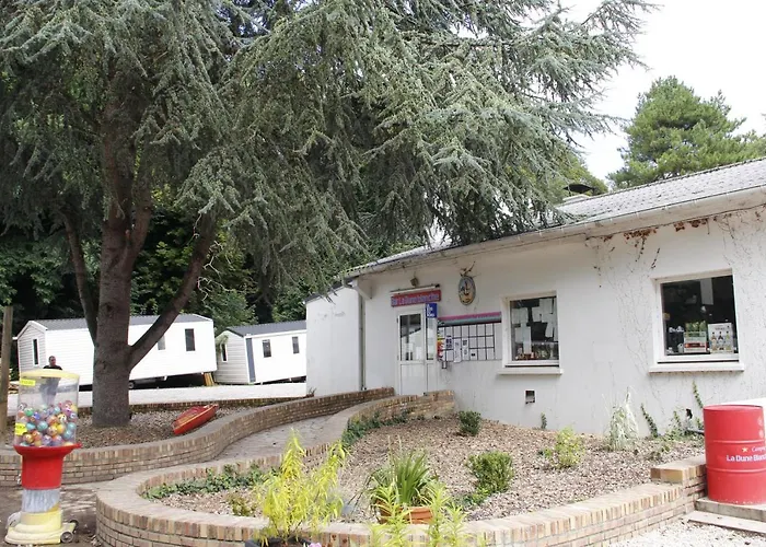 Entre Sable Et Feuillus