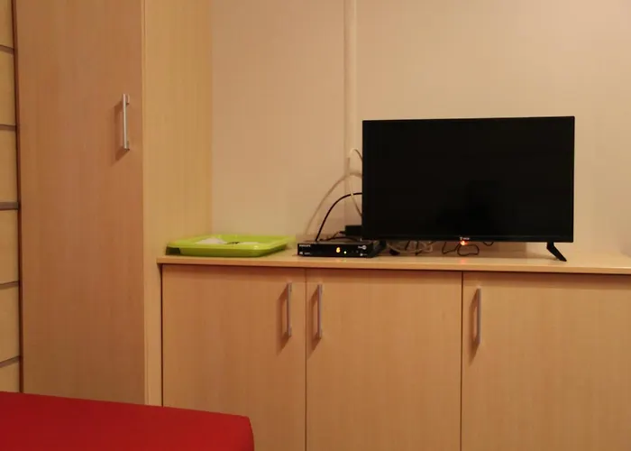 Entre Sable Et Feuillus